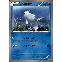 テッポウオ (キラ仕様) 024/131 CP4 水 ポケモンカードゲームXY BREAK プレミアムチャンピオンパックEX×M×BREAK