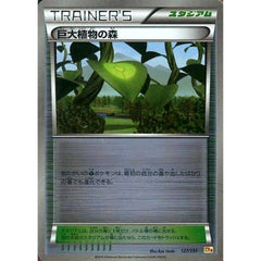 巨大植物の森 (キラ仕様) 127/131 CP4 スタジアム ポケモンカードゲームXY BREAK プレミアムチャンピオンパックEX×M×BREAK
