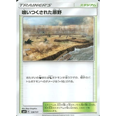 喰いつくされた原野 128/131 SMH スタジアム ポケモンカードゲーム サン&ムーン GXスタートデッキ