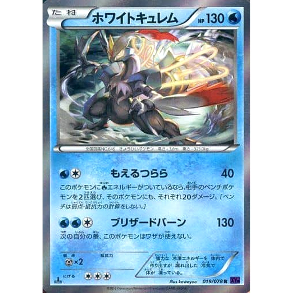 ホワイトキュレム (キラ仕様) 019/078 [R] XY10 水 ポケモンカードゲームXY BREAK 拡張パック めざめる超王