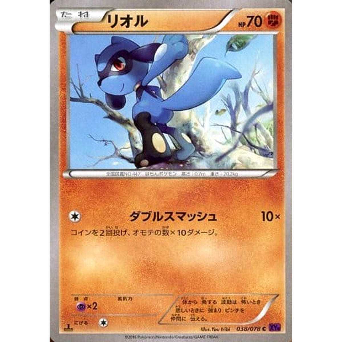 リオル 038/078 [C] XY10 闘 ポケモンカードゲームXY BREAK 拡張パック めざめる超王
