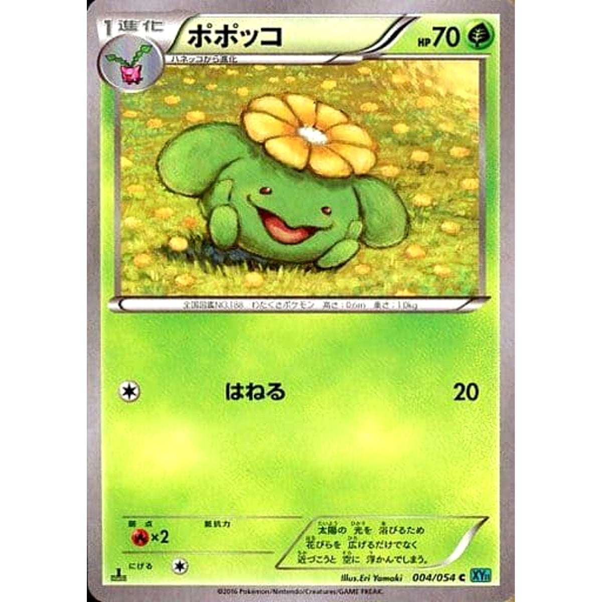 ポポッコ 004/054 [C] XY11 草 ポケモンカードゲームXY BREAK 拡張パック 冷酷の反逆者