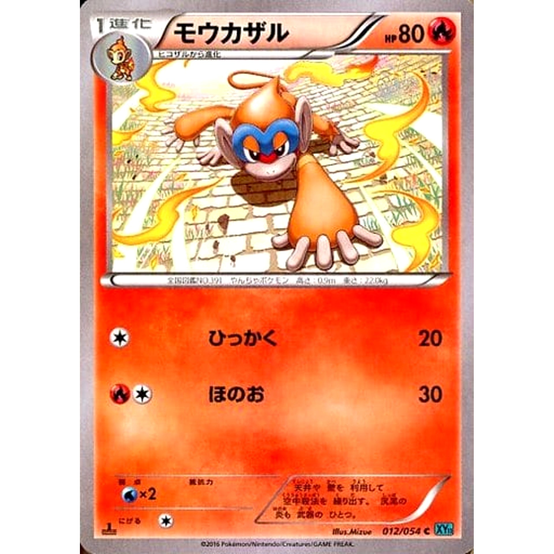 モウカザル 012/054 [C] XY11 炎 ポケモンカードゲームXY BREAK 拡張パック 冷酷の反逆者