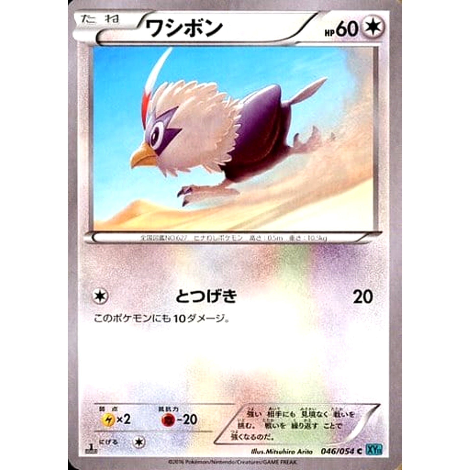 ワシボン 046/054 [C] XY11 無 ポケモンカードゲームXY BREAK 拡張パック 冷酷の反逆者