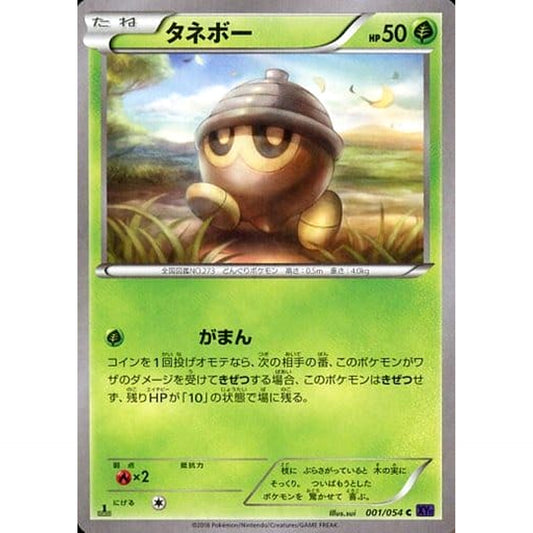タネボー 001/054 [C] XY11 草 ポケモンカードゲームXY BREAK 拡張パック 爆熱の闘士