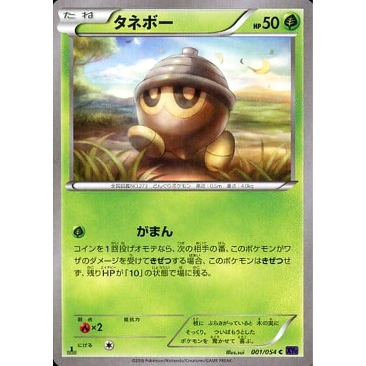 タネボー 001/054 [C] XY11 草 ポケモンカードゲームXY BREAK 拡張パック 爆熱の闘士