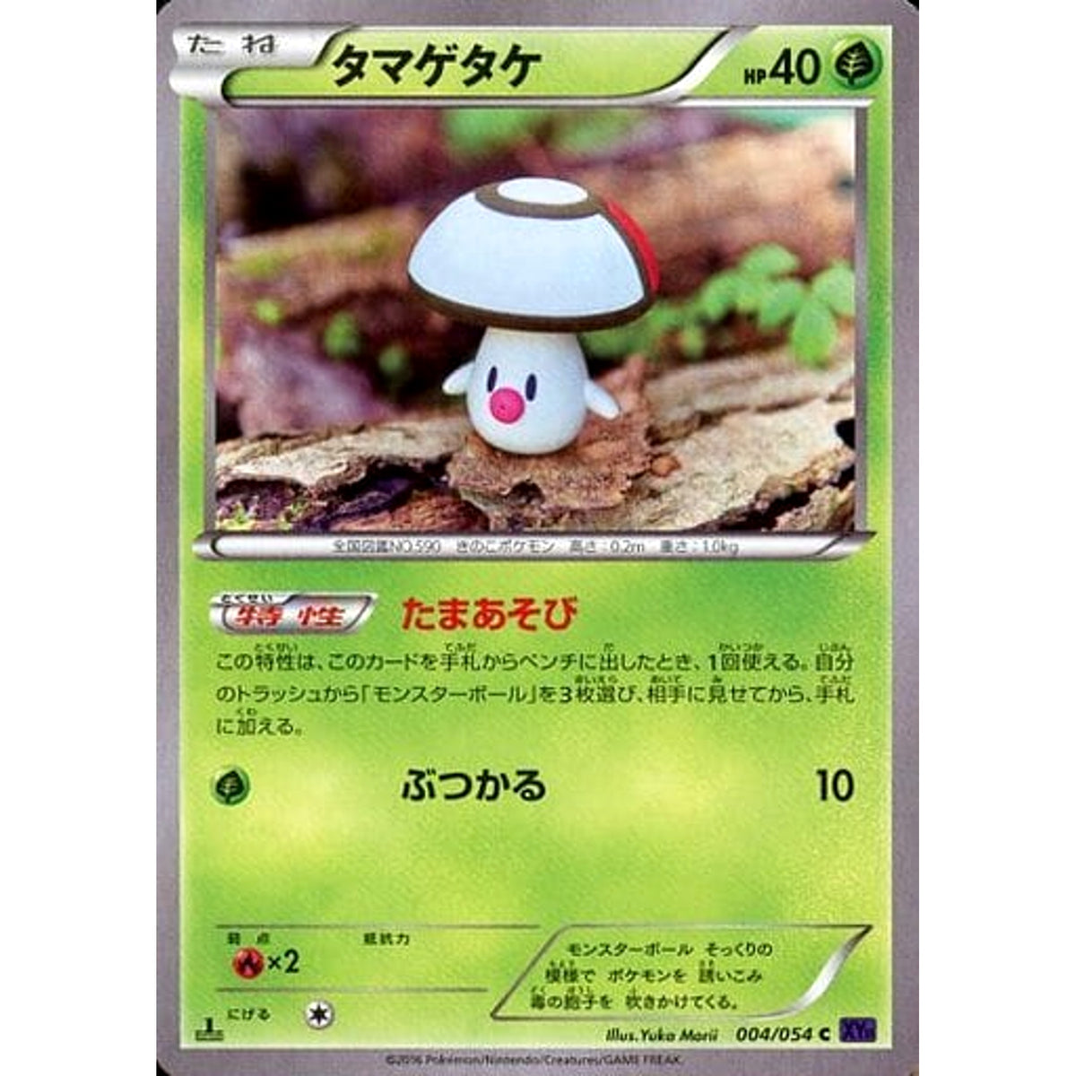 タマゲタケ 004/054 [C] XY11 草 ポケモンカードゲームXY BREAK 拡張パック 爆熱の闘士