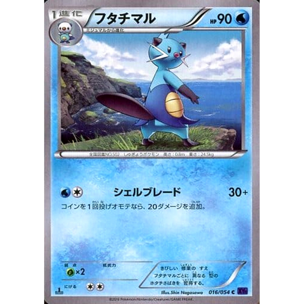 フタチマル 016/054 [C] XY11 水 ポケモンカードゲームXY BREAK 拡張パック 爆熱の闘士