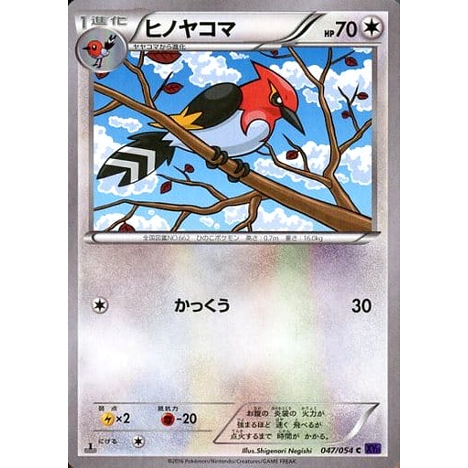 ヒノヤコマ 047/054 [C] XY11 無 ポケモンカードゲームXY BREAK 拡張パック 爆熱の闘士