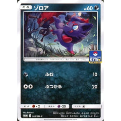 ゾロア 105/SM-P [PROMO] SM-P 悪 ポケモンカードゲーム サン&ムーン プロモーションカードSM-P