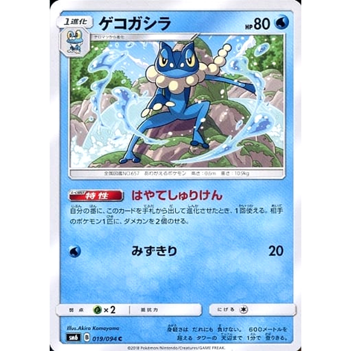 ゲコガシラ 019/094 [C] SM6 水 ポケモンカードゲーム サン&ムーン 拡張パック 禁断の光