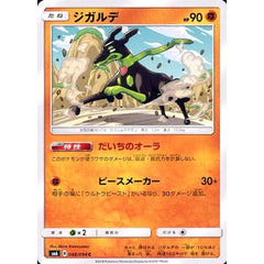 ジガルデ 048/094 [C] SM6 闘 ポケモンカードゲーム サン&ムーン 拡張パック 禁断の光