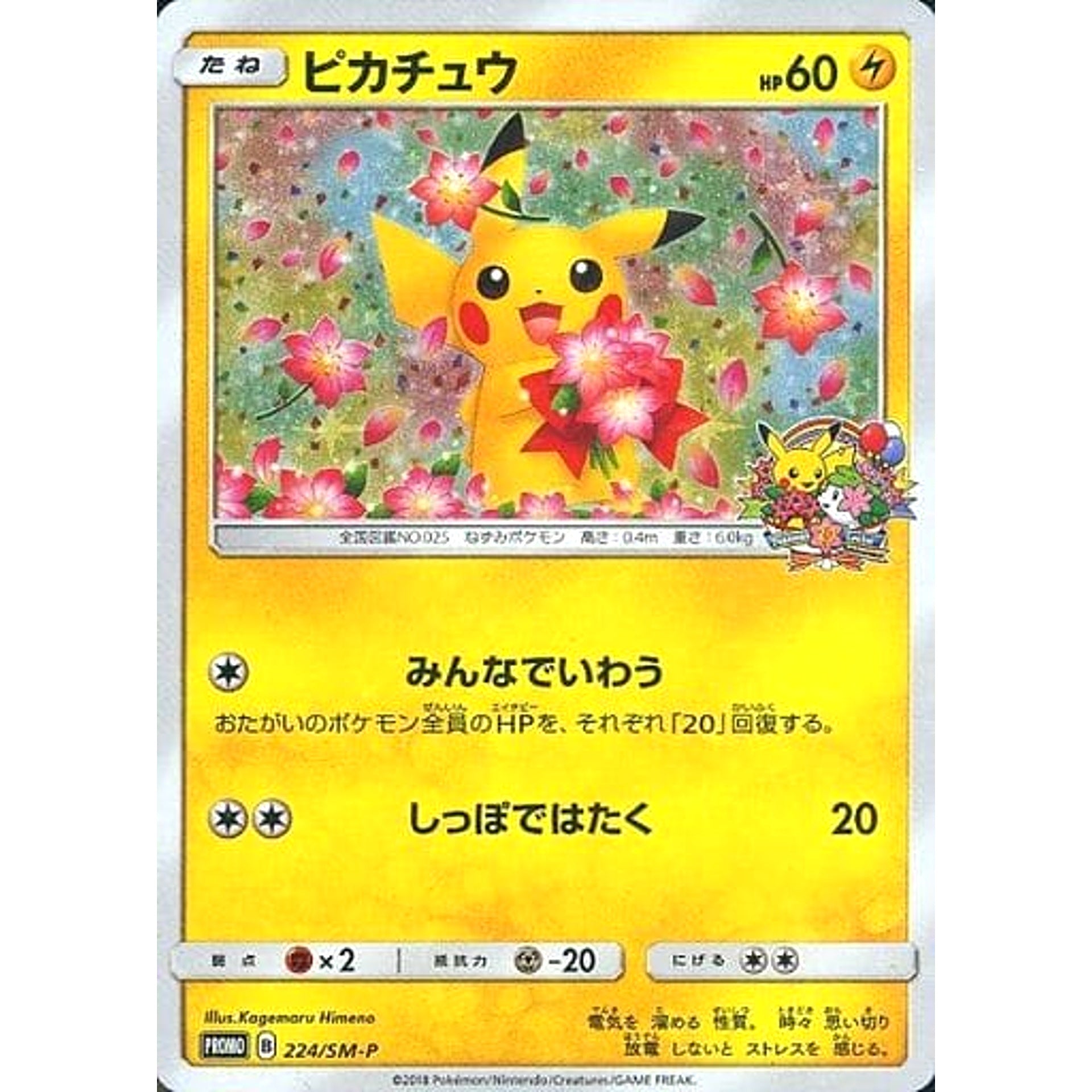 ピカチュウ 224/SM-P [PROMO] SM-P 雷 ポケモンカードゲーム サン&ムーン プロモーションカードSM-P