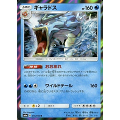 ギャラドス (キラ仕様) 016/053 [R] SM6a 水 ポケモンカードゲーム サン&ムーン 強化拡張パック ドラゴンストーム
