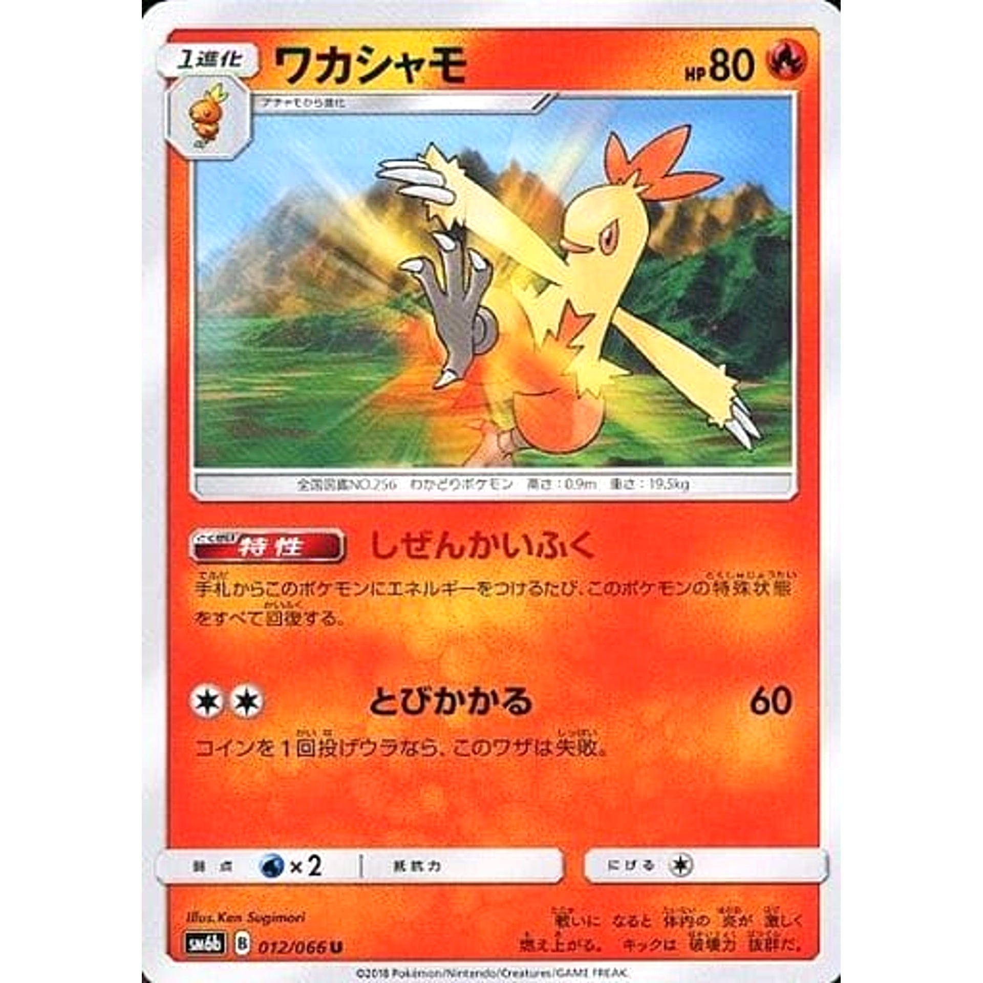 ワカシャモ 012/066 [U] SM6b 炎 ポケモンカードゲーム サン&ムーン 強化拡張パック チャンピオンロード