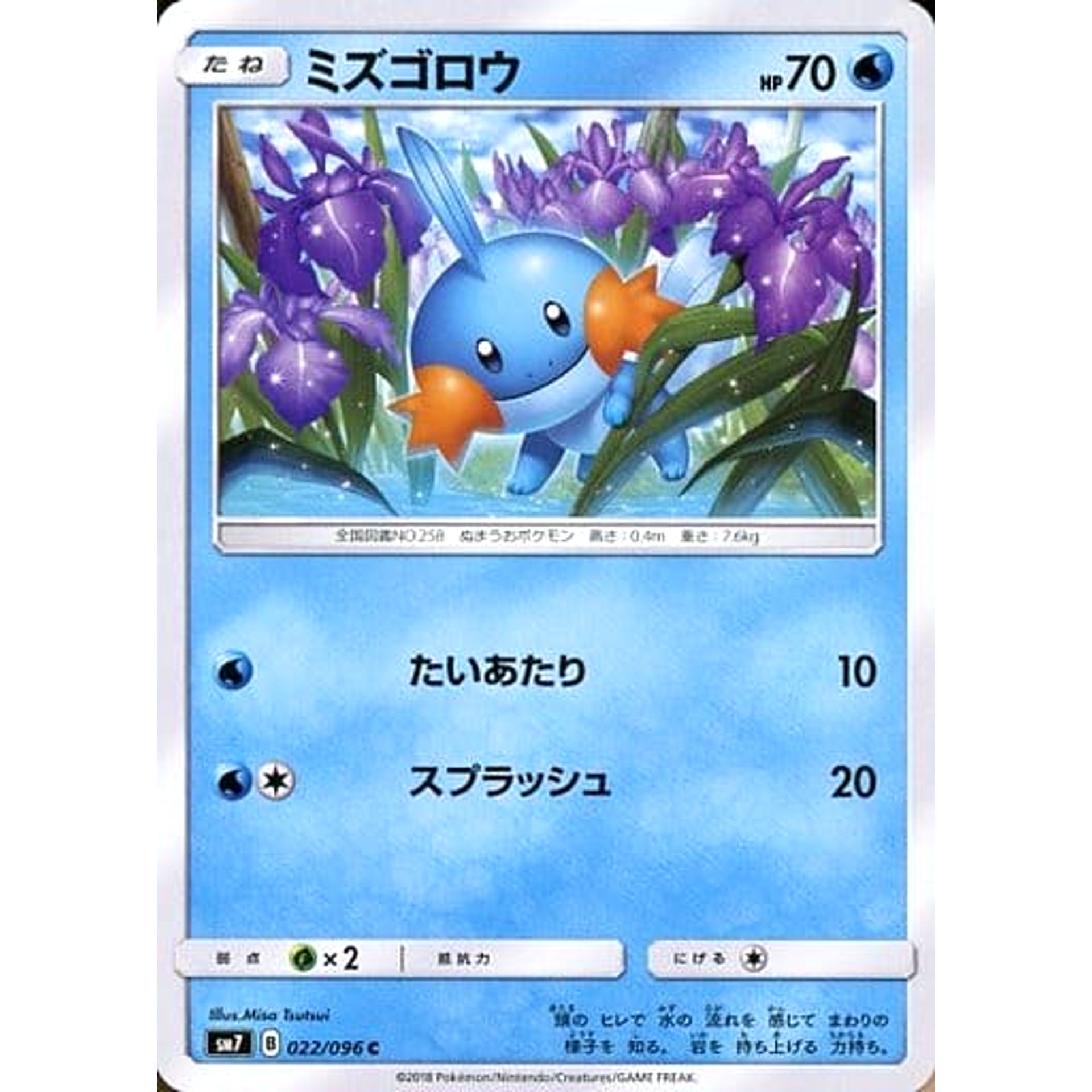 ミズゴロウ 022/096 [C] SM7 水 ポケモンカードゲーム サン&ムーン 拡張パック 裂空のカリスマ