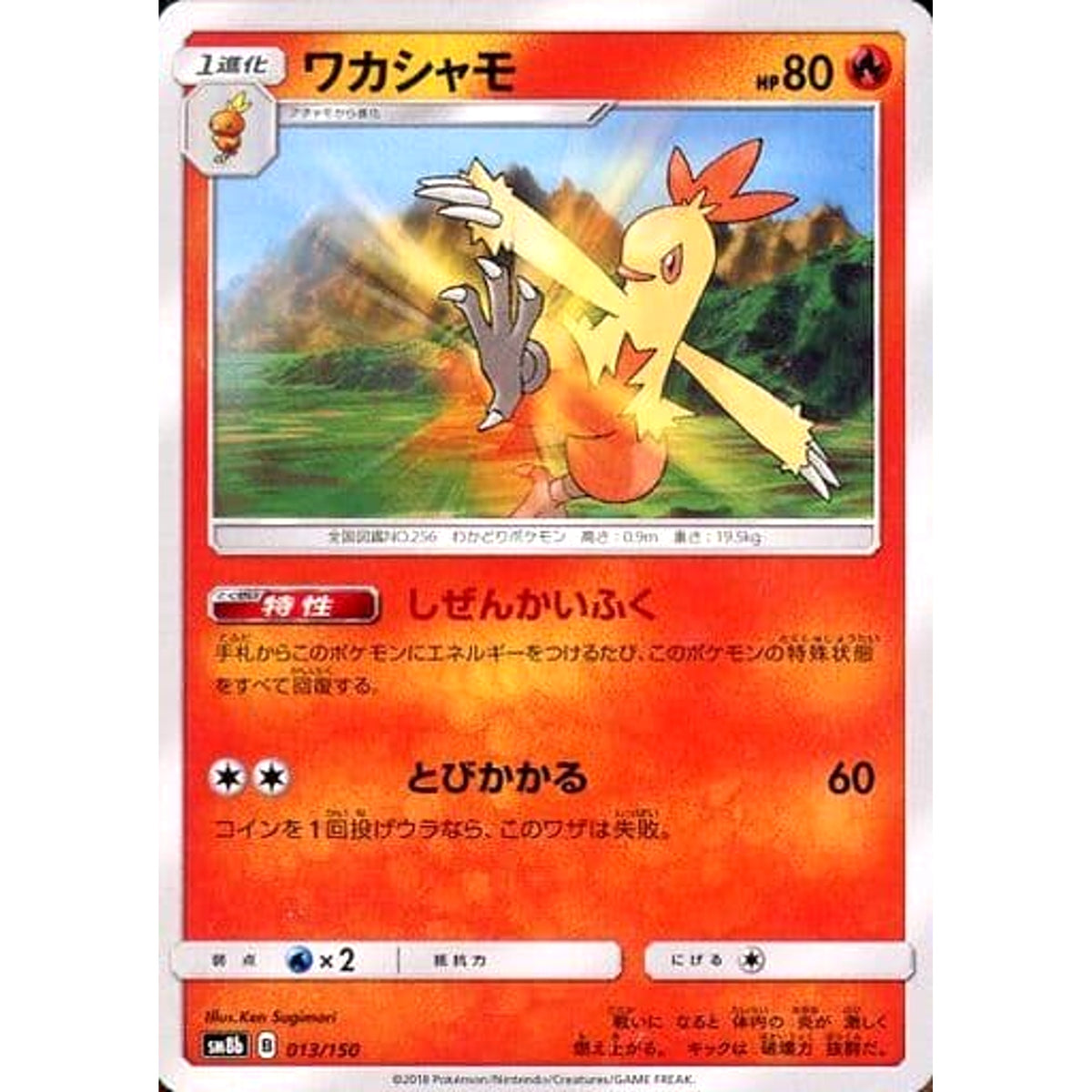 ワカシャモ 013/150 SM8b 炎 ポケモンカードゲーム サン&ムーン ハイクラスパック GXウルトラシャイニー