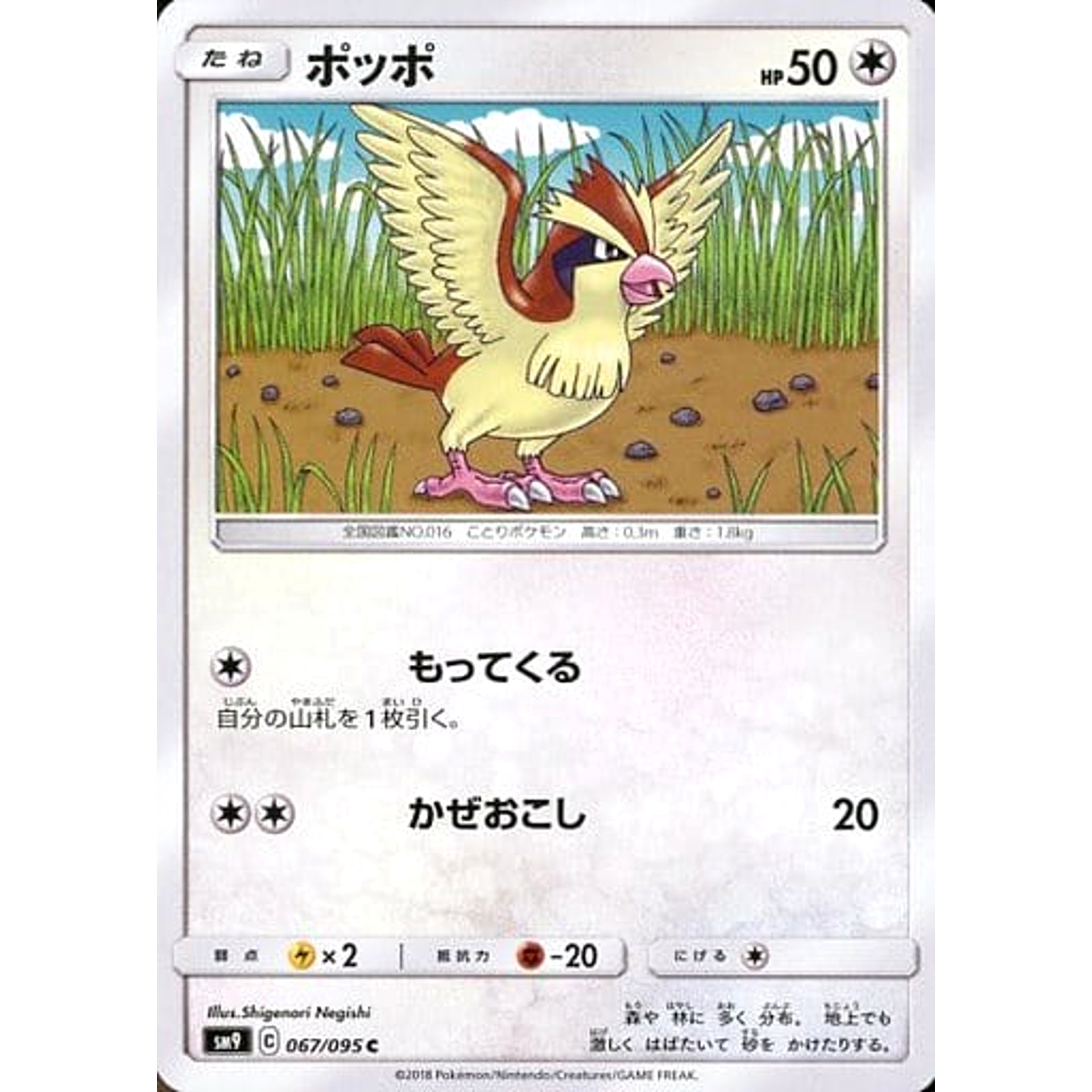 ポッポ 067/095 [C] SM9 無 ポケモンカードゲーム サン&ムーン 拡張パック タッグボルト