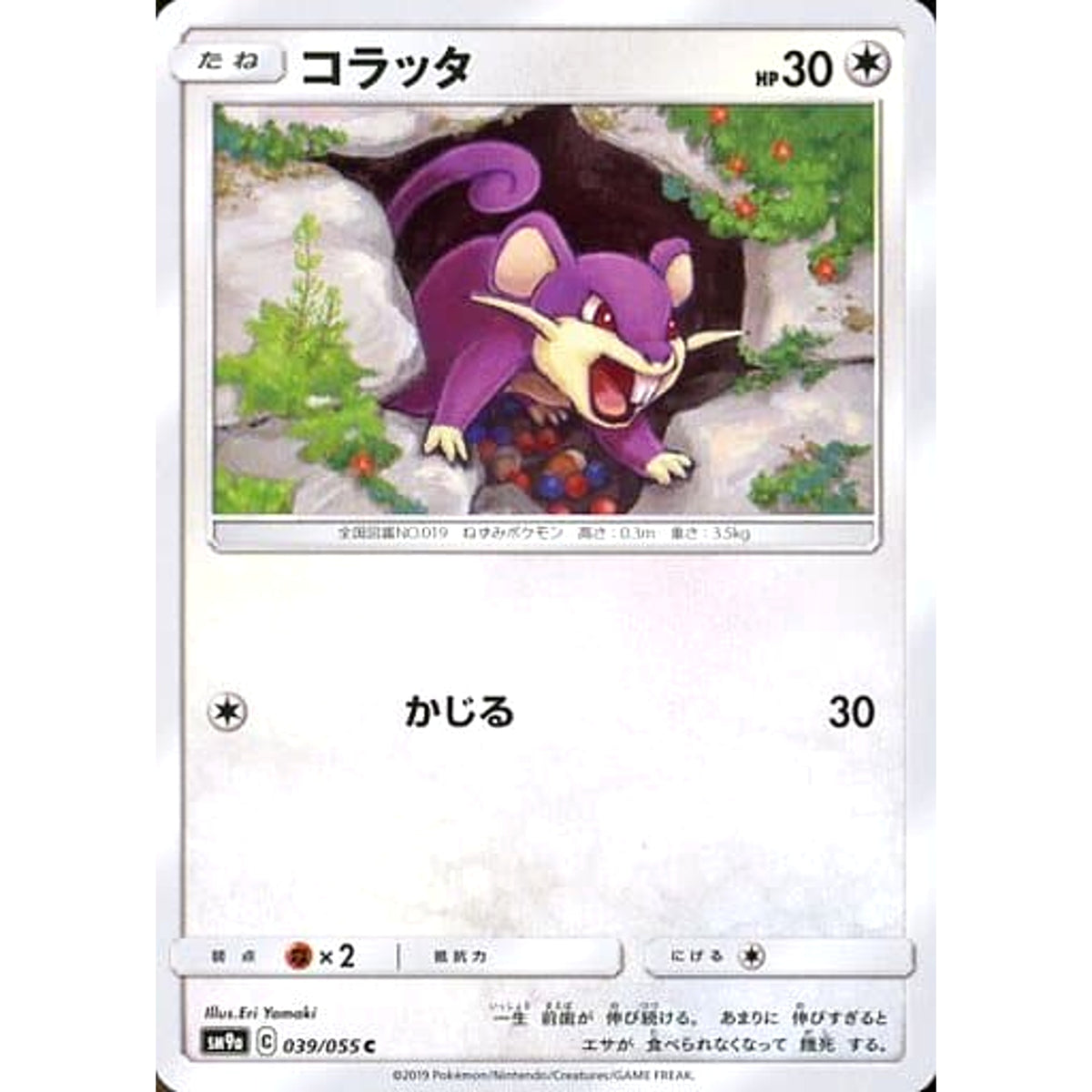 コラッタ 039/055 [C] SM9a 無 ポケモンカードゲーム サン&ムーン 強化拡張パック ナイトユニゾン