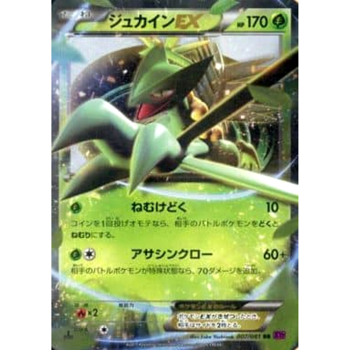 ジュカインEX (キラ仕様) 007/081 [RR] XY7 草 ポケモンカードゲームXY 拡張パック バンデットリング
