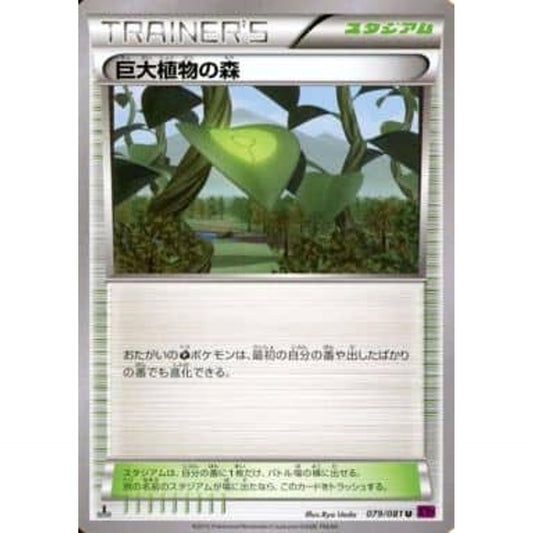 巨大植物の森 079/081 [U] XY7 スタジアム ポケモンカードゲームXY 拡張パック バンデットリング