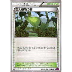 巨大植物の森 079/081 [U] XY7 スタジアム ポケモンカードゲームXY 拡張パック バンデットリング