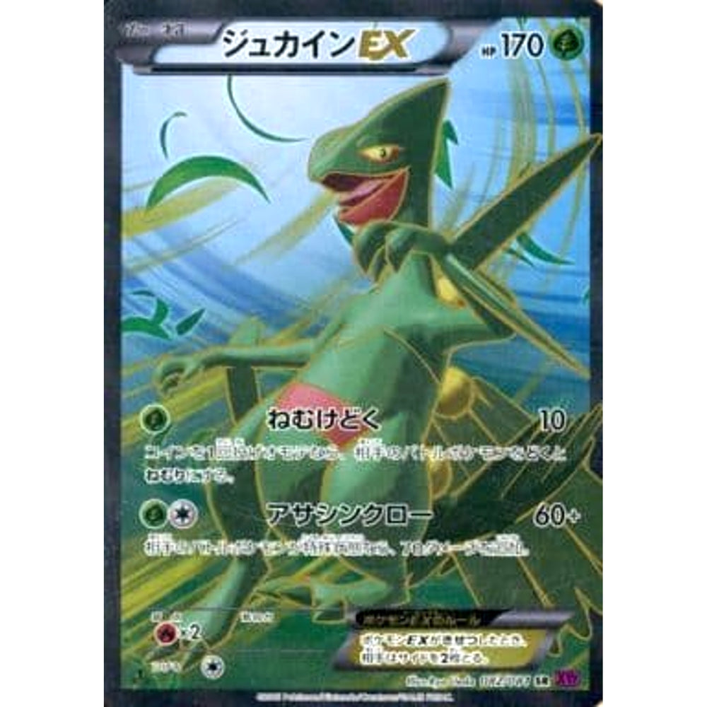 ジュカインEX (キラ仕様) 082/081 [SR] XY7 水 ポケモンカードゲームXY 拡張パック バンデットリング
