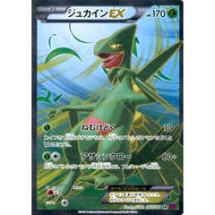ジュカインEX (キラ仕様) 082/081 [SR] XY7 水 ポケモンカードゲームXY 拡張パック バンデットリング