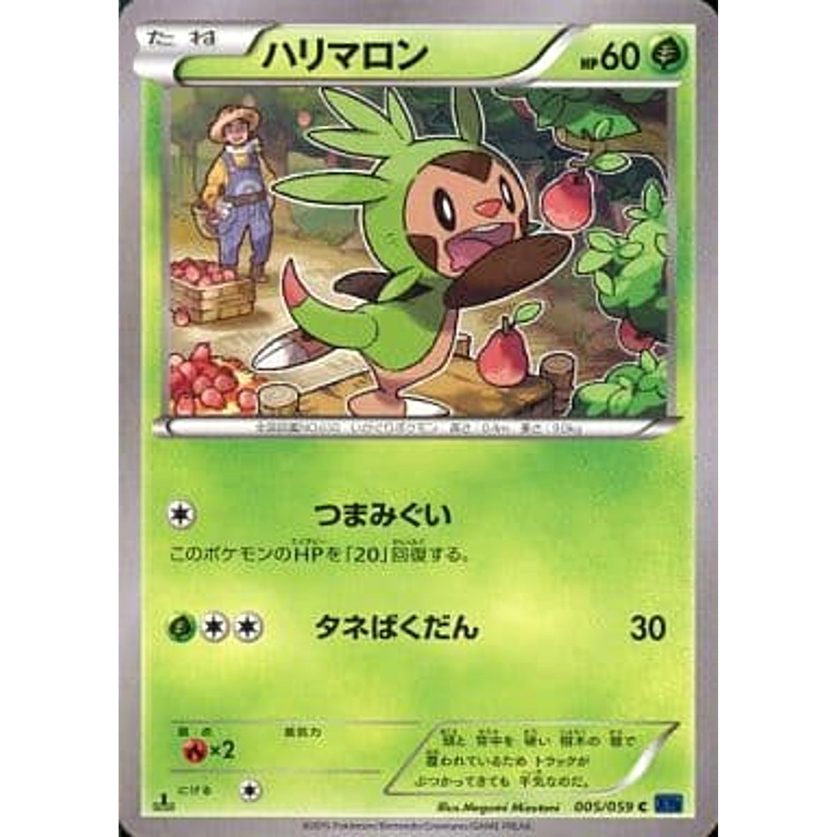 ハリロマン 005/059 [C] XY8 草 ポケモンカードゲームXY BREAK 拡張パック 青い衝撃