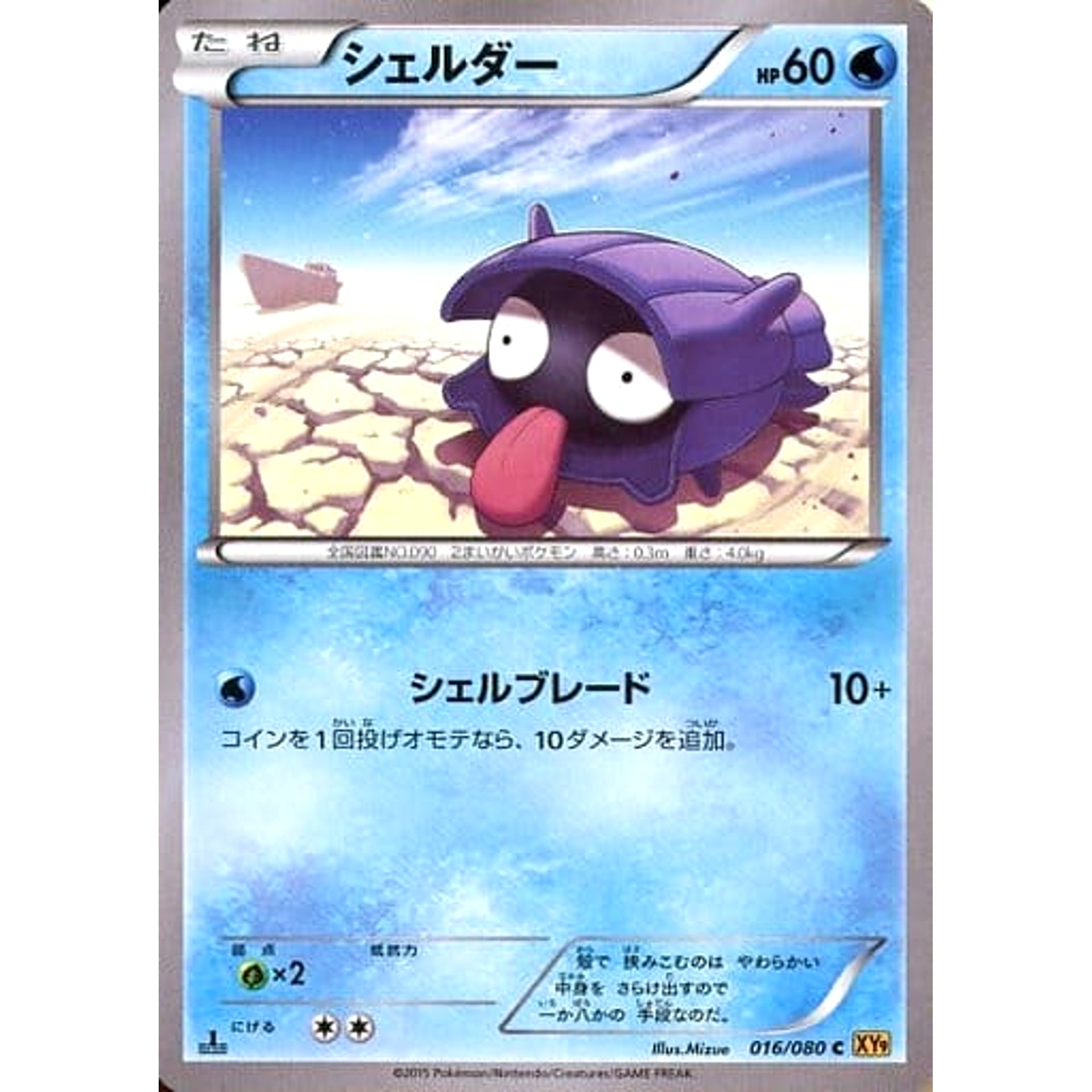 シェルダー 016/080 [C] XY9 水 ポケモンカードゲームXY BREAK 拡張パック 破天の怒り