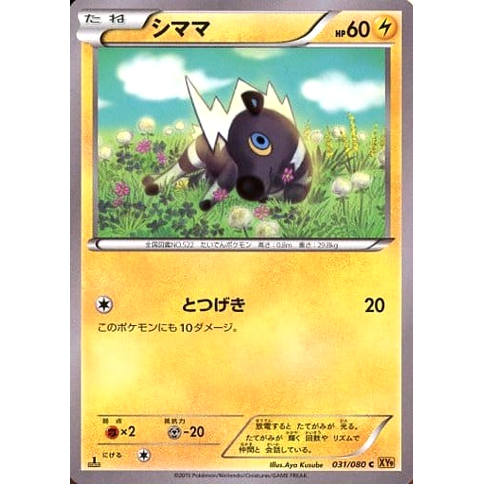 シママ (キラ仕様) 031/080 [C] XY9 雷 ポケモンカードゲームXY BREAK 拡張パック 破天の怒り