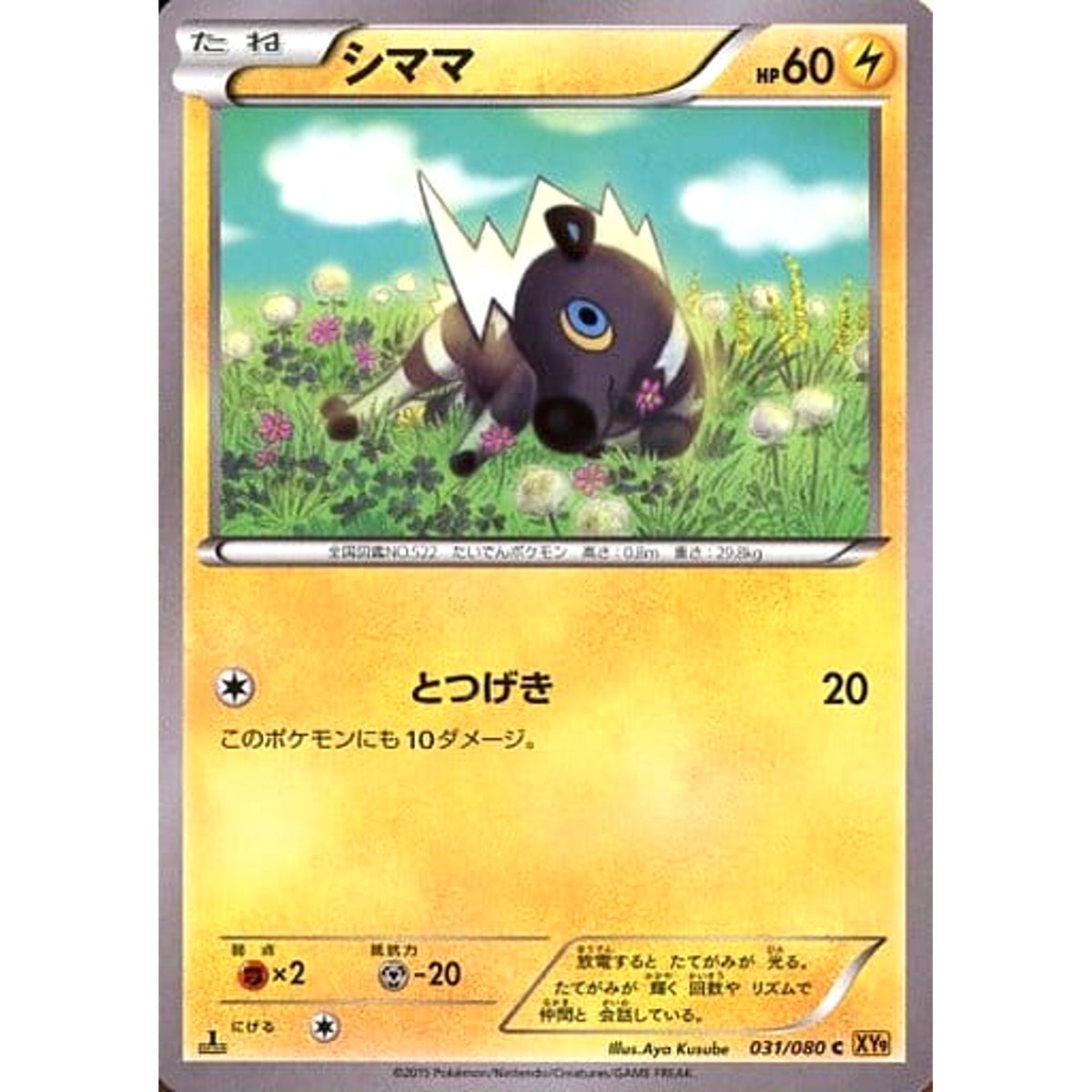 シママ (キラ仕様) 031/080 [C] XY9 雷 ポケモンカードゲームXY BREAK 拡張パック 破天の怒り