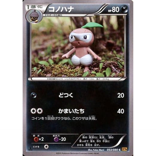 コノハナ 053/080 [C] XY9 悪 ポケモンカードゲームXY BREAK 拡張パック 破天の怒り