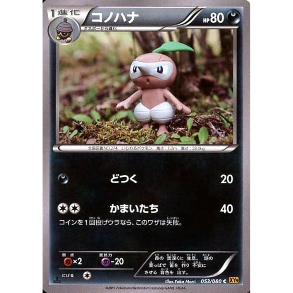 コノハナ 053/080 [C] XY9 悪 ポケモンカードゲームXY BREAK 拡張パック 破天の怒り