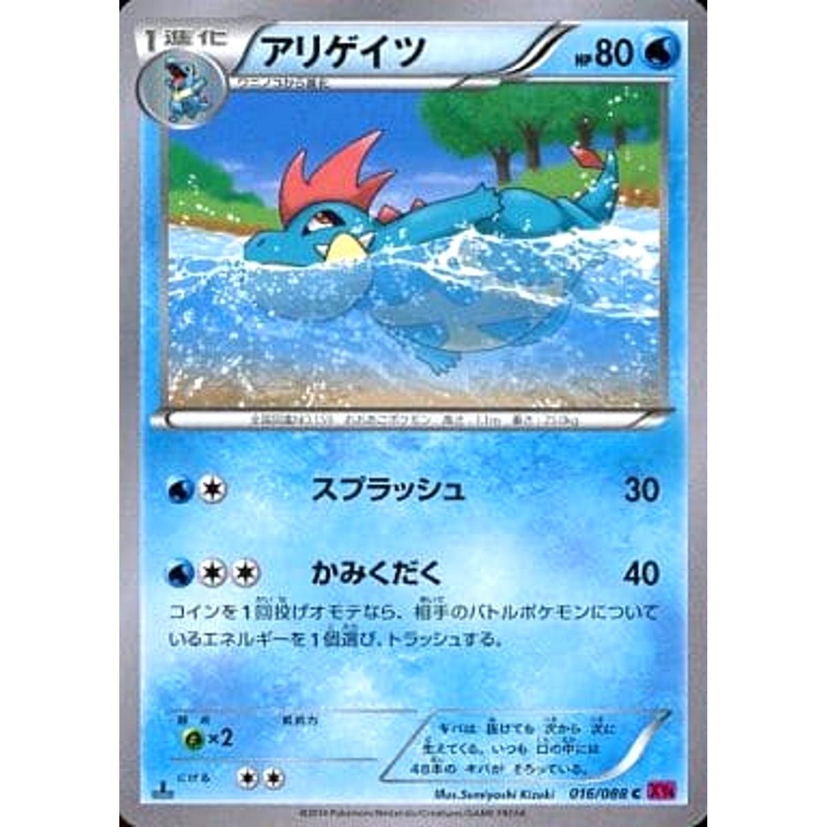 アリゲイツ 016/088 [C] XY4 水 ポケモンカードゲームXY 拡張パック ファントムゲート
