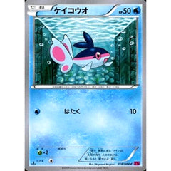 ケイコウオ 018/088 [C] XY4 水 ポケモンカードゲームXY 拡張パック ファントムゲート