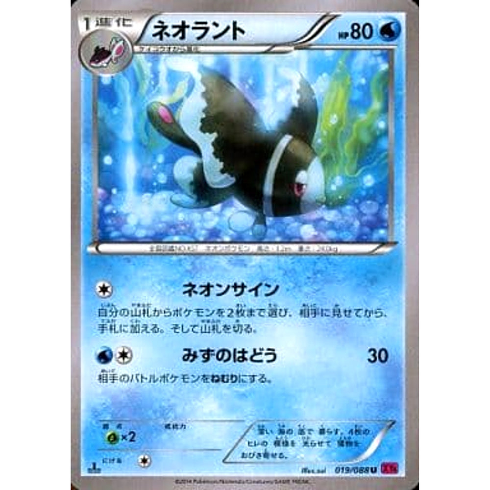 ネオラント 019/088 [U] XY4 水 ポケモンカードゲームXY 拡張パック ファントムゲート