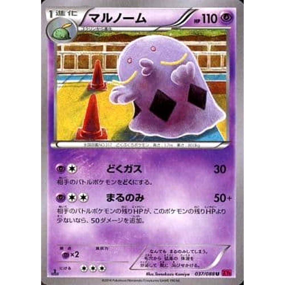 マルノーム 037/088 [U] XY4 超 ポケモンカードゲームXY 拡張パック ファントムゲート