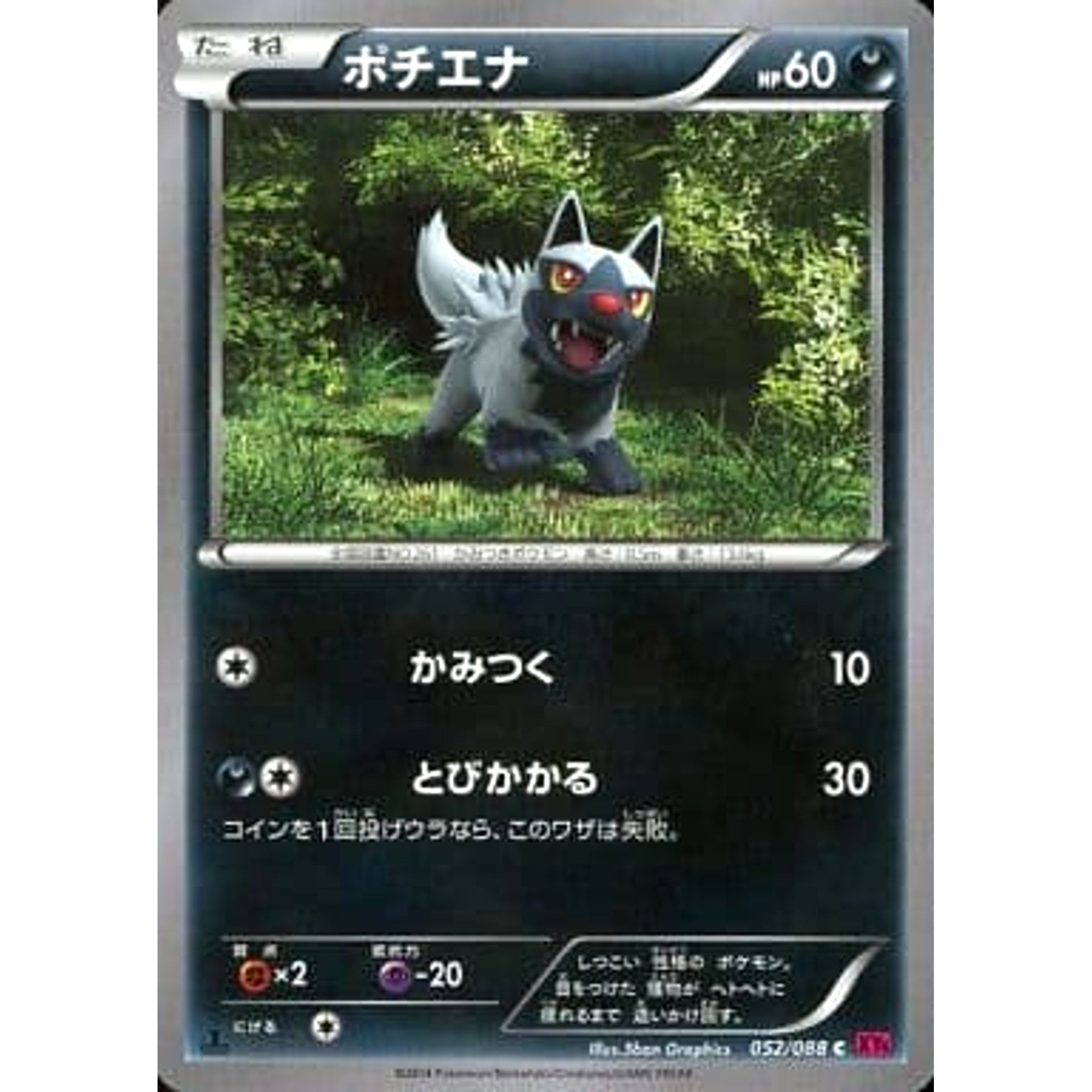 ポチエナ 052/088 [C] XY4 悪 ポケモンカードゲームXY 拡張パック ファントムゲート