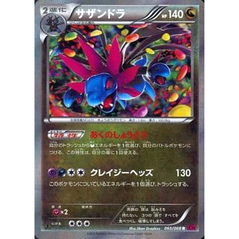サザンドラ (キラ仕様) 065/088 [R] XY4 ドラゴン ポケモンカードゲームXY 拡張パック ファントムゲート