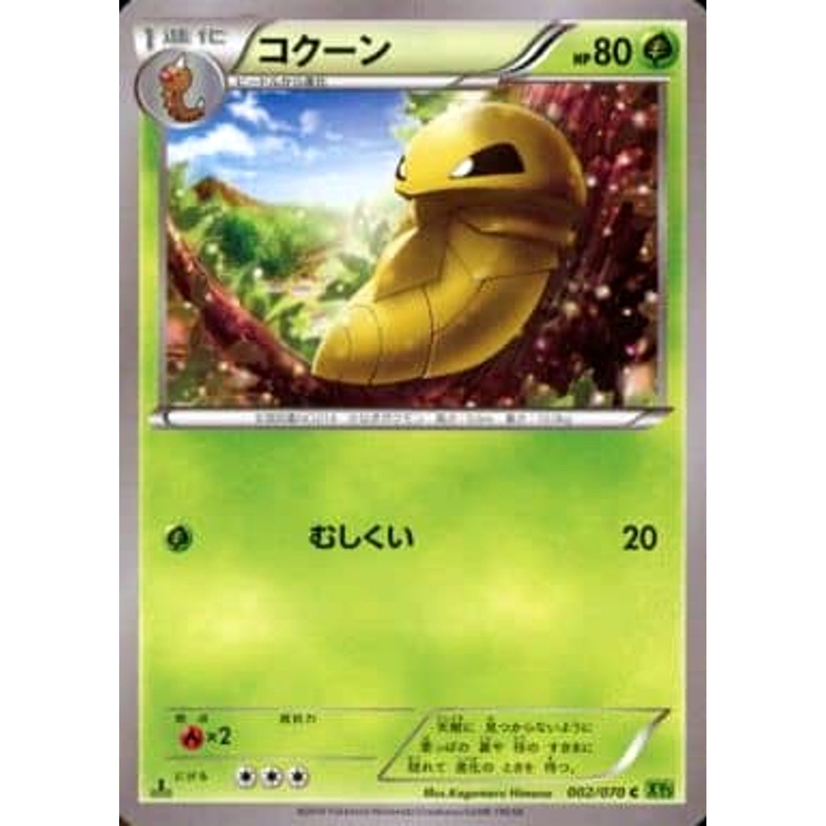 コクーン 002/070 [C] XY5 草 ポケモンカードゲームXY 拡張パック タイダルストーム