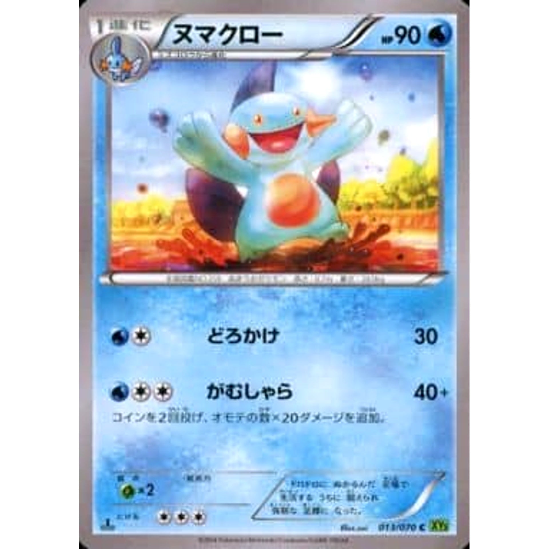 ヌマクロー 013/070 [C] XY5 水 ポケモンカードゲームXY 拡張パック タイダルストーム