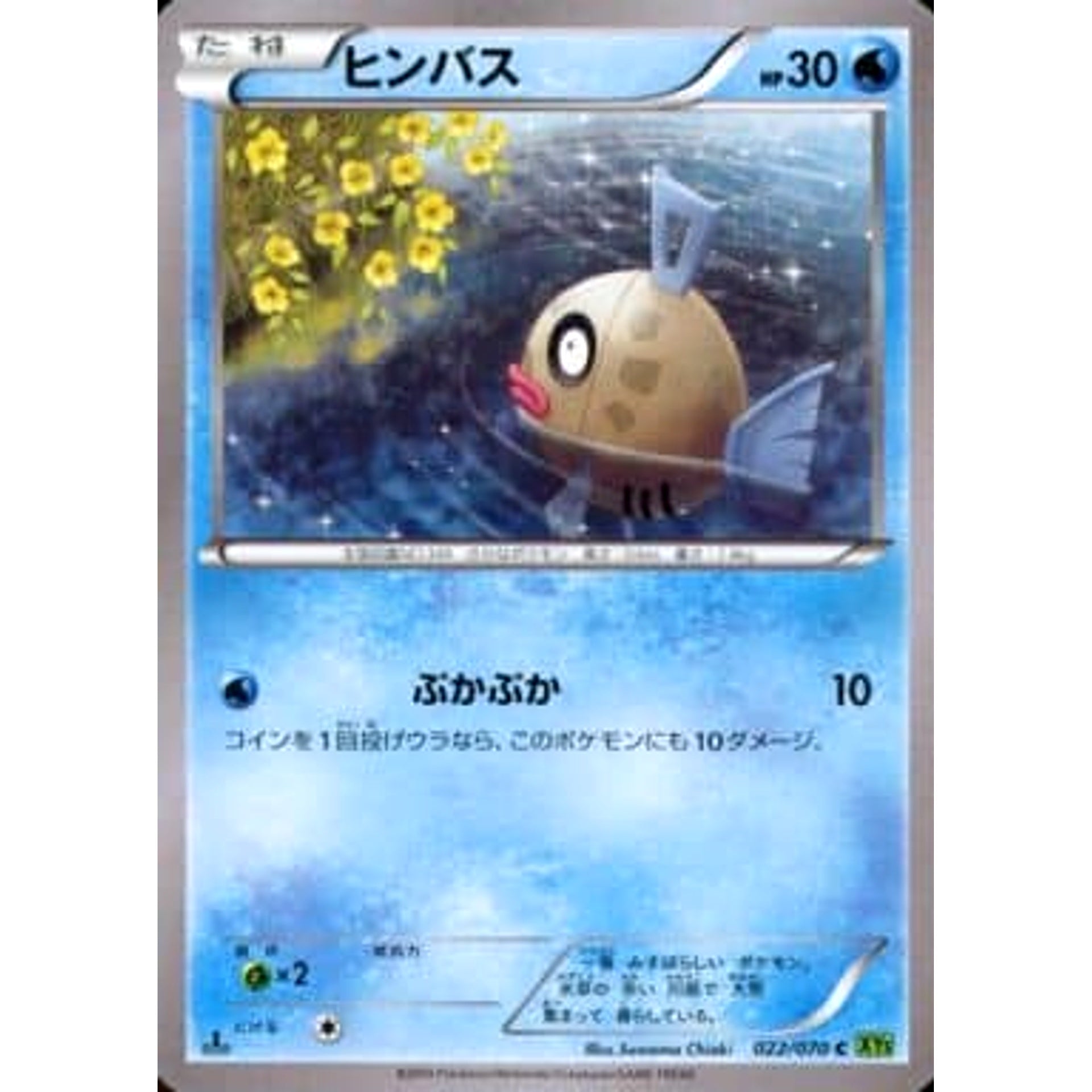 ヒンバス 022/070 [C] XY5 水 ポケモンカードゲームXY 拡張パック タイダルストーム