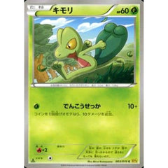 キモリ 003/070 [C] XY5 草 ポケモンカードゲームXY 拡張パック ガイアボルケーノ