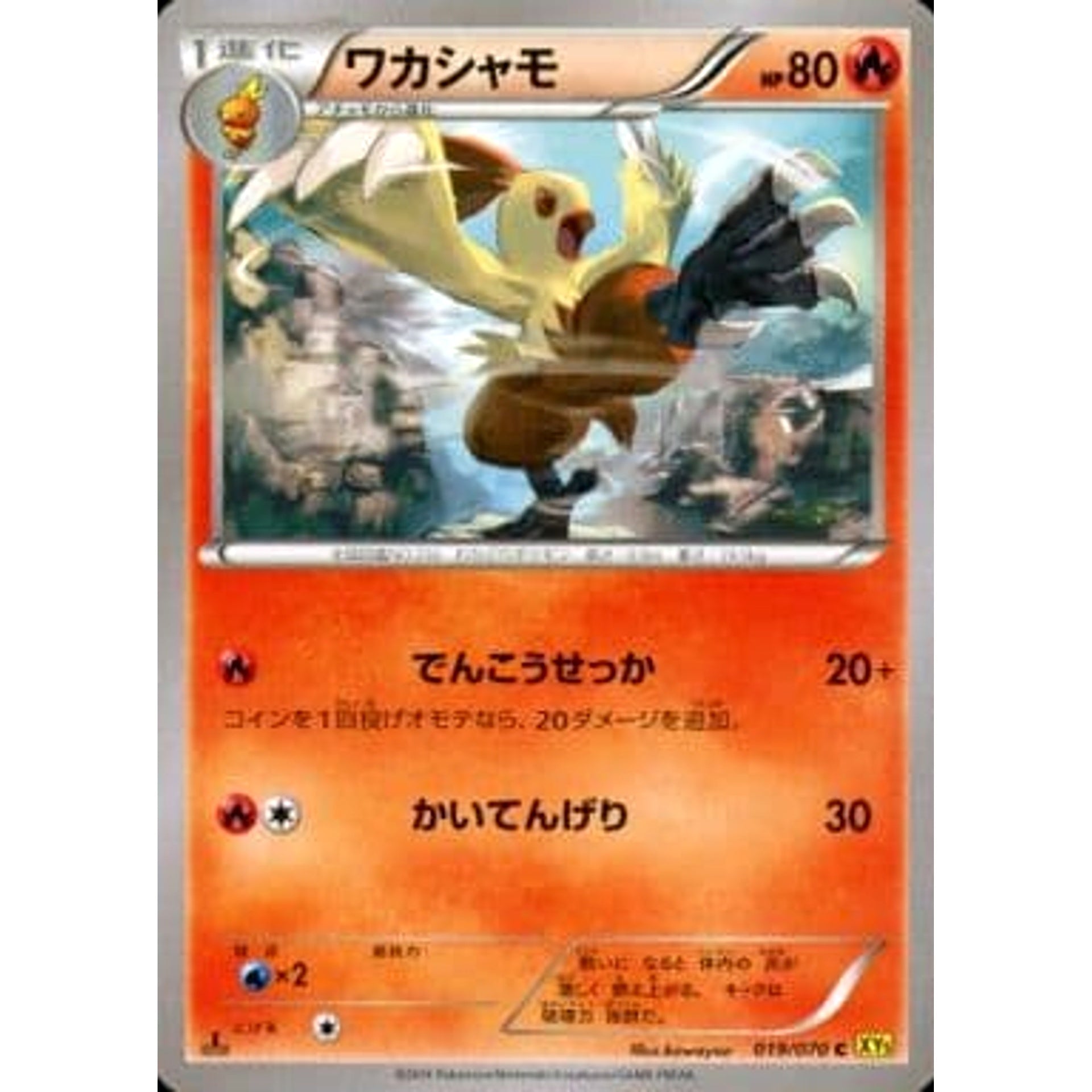 ワカシャモ 019/070 [C] XY5 炎 ポケモンカードゲームXY 拡張パック ガイアボルケーノ