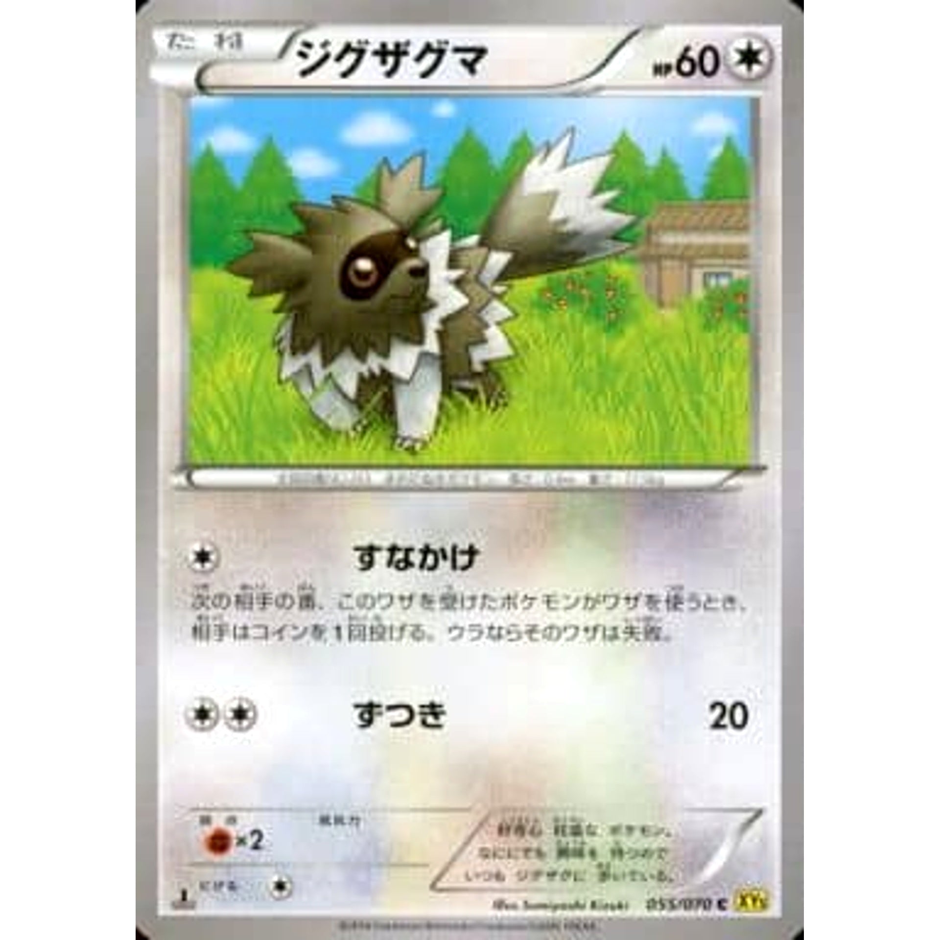 ジグザグマ 055/070 [C] XY5 無 ポケモンカードゲームXY 拡張パック ガイアボルケーノ