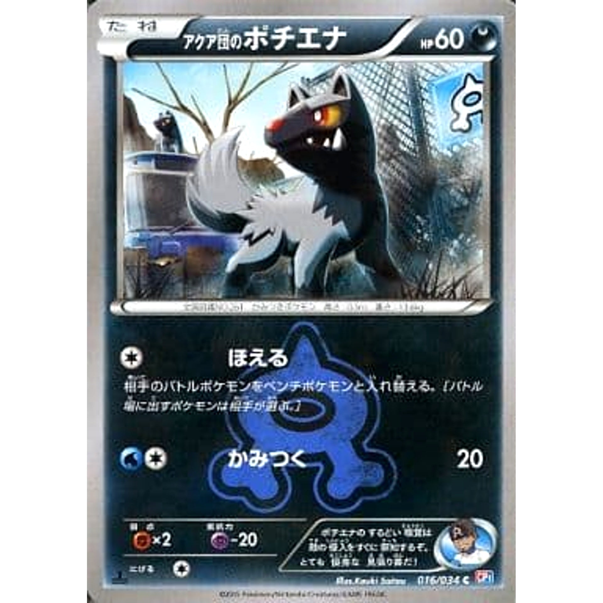 アクア団のポチエナ 016/034 [C] CP1 悪 ポケモンカードゲームXY コンセプトパック マグマ団VSアクア団 ダブルクライシス