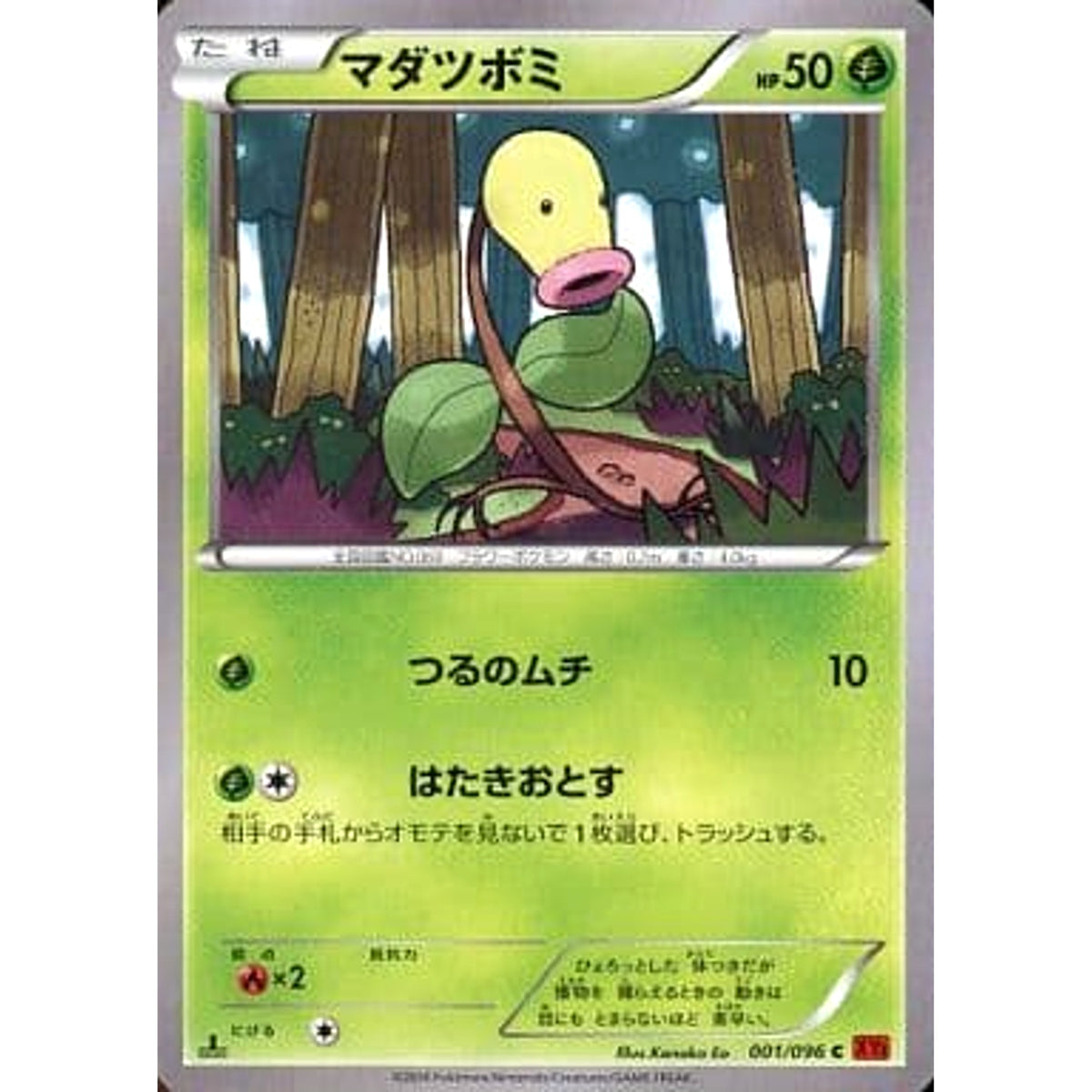 マダツボミ 001/096 [C] XY3 草 ポケモンカードゲームXY 拡張パック ライジングフィスト