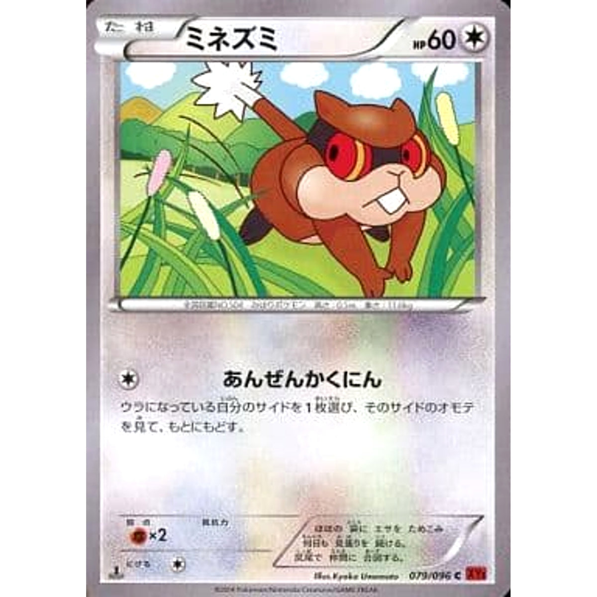 ミネズミ 079/096 [C] XY3 無 ポケモンカードゲームXY 拡張パック ライジングフィスト