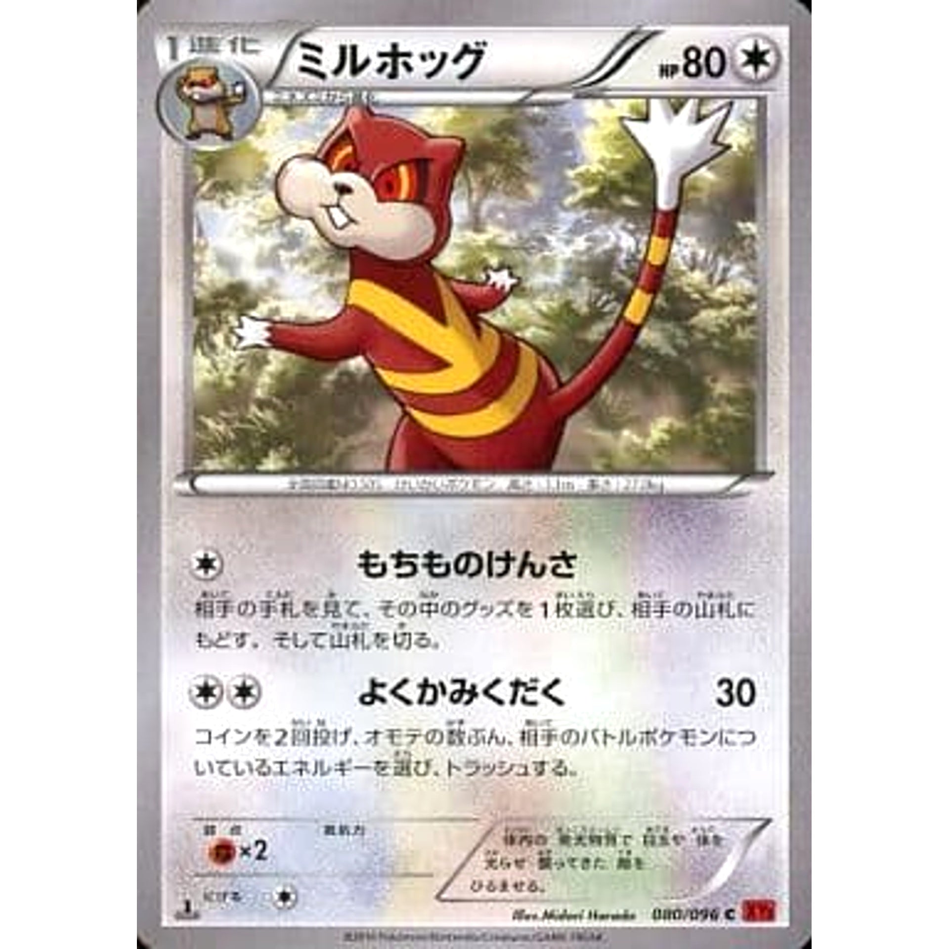 ミルホッグ 080/096 [C] XY3 無 ポケモンカードゲームXY 拡張パック ライジングフィスト